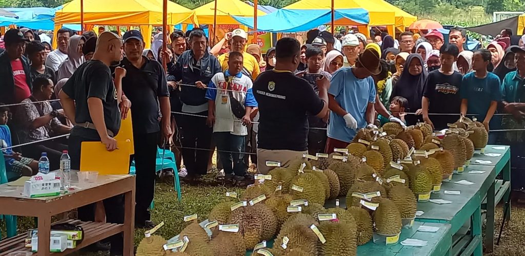 Gelar Festival Durian, Pemdes Kebongembong Siap Jadi Agrowisata 