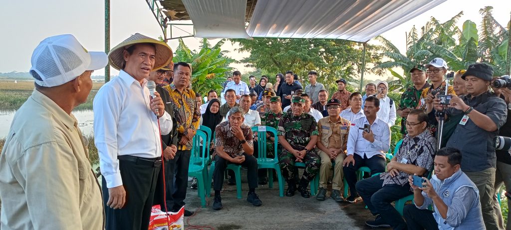 Menteri Pertanian Tinjau Lahan Terdampak Banjir di Kendal