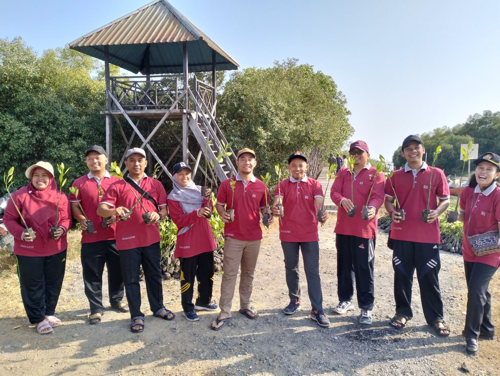 Partisipan SMA Negeri 1 Tayu Turut Tanam 4.000 Bibit Mangrove di Tluwuk