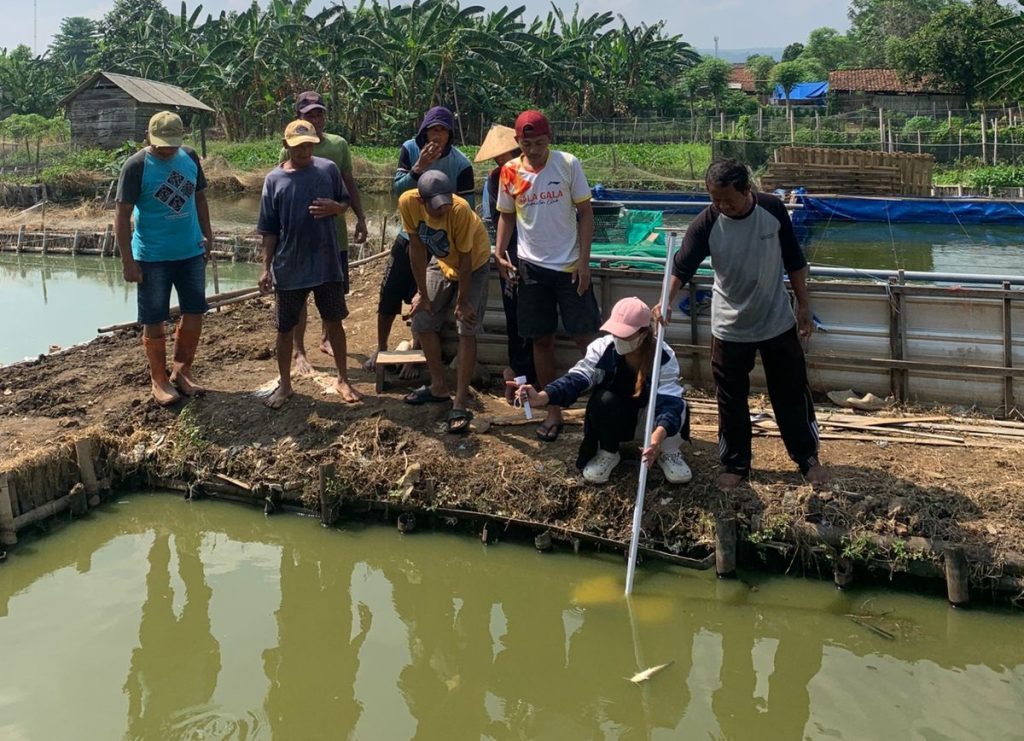 Mahasiswi KKN Prodi Oseanografi Undip Lakukan Pemantauan Kualitas Air Budidaya