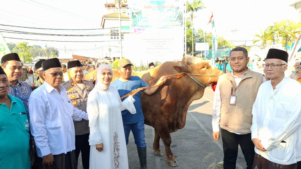 Pemkab Kendal Serahkan Bantuan Sapi dari Presiden RI ke Masjid Almuttaqin Kaliwungu 